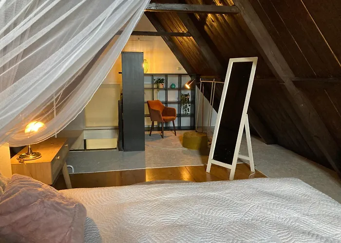 Elegant Appartement In Pakhuis Friesland Centrum