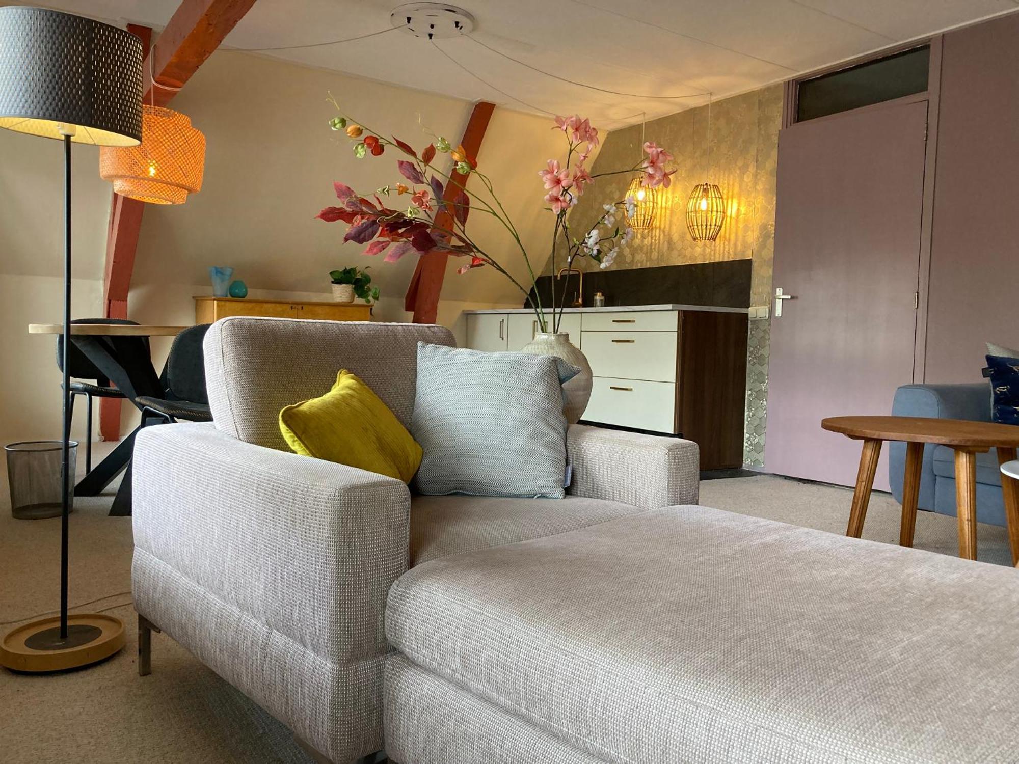 Elegant In Pakhuis Friesland Centrum Apartment *