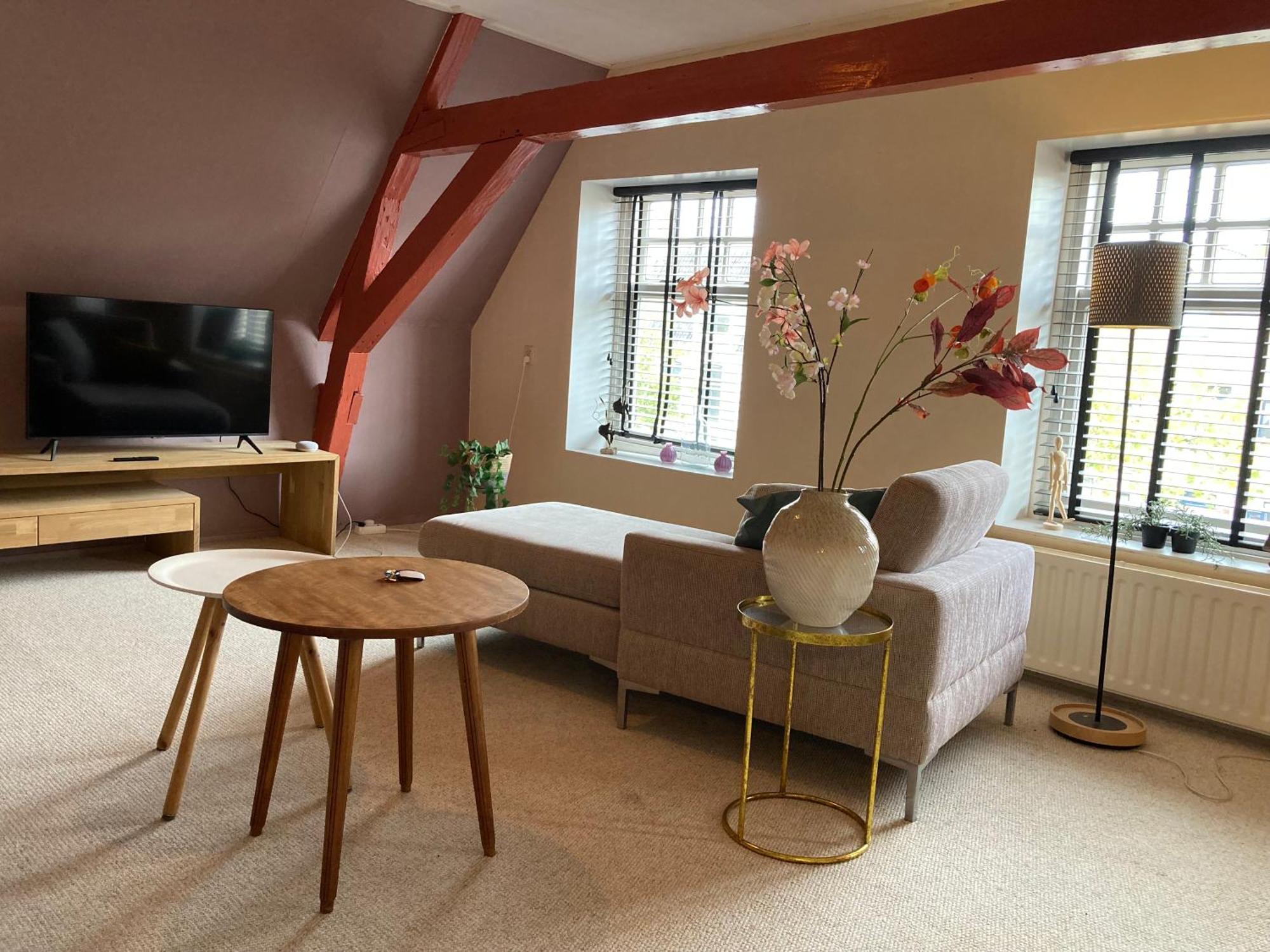 Elegant In Pakhuis Friesland Centrum Apartment *